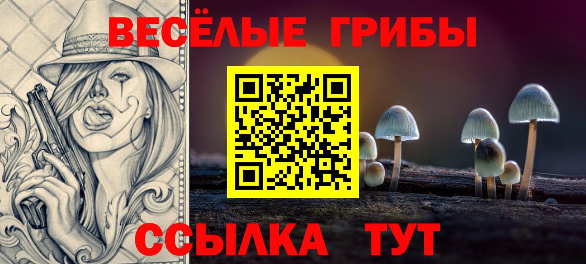 Усть-Джегута  Псилоцибиновые грибы мухоморы  Вход с VPN 