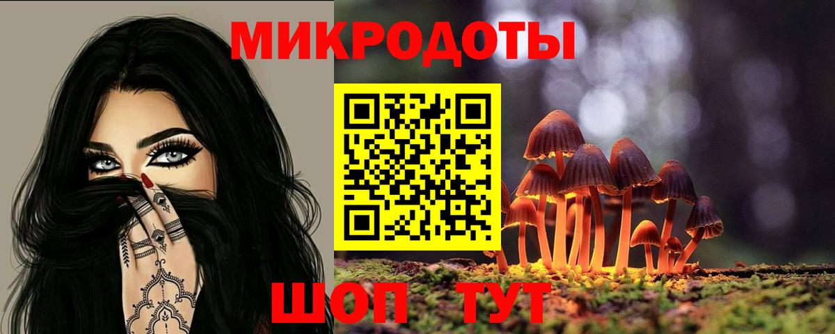 Псилоцибиновые грибы Psilocybine cubensis Усть-Джегута